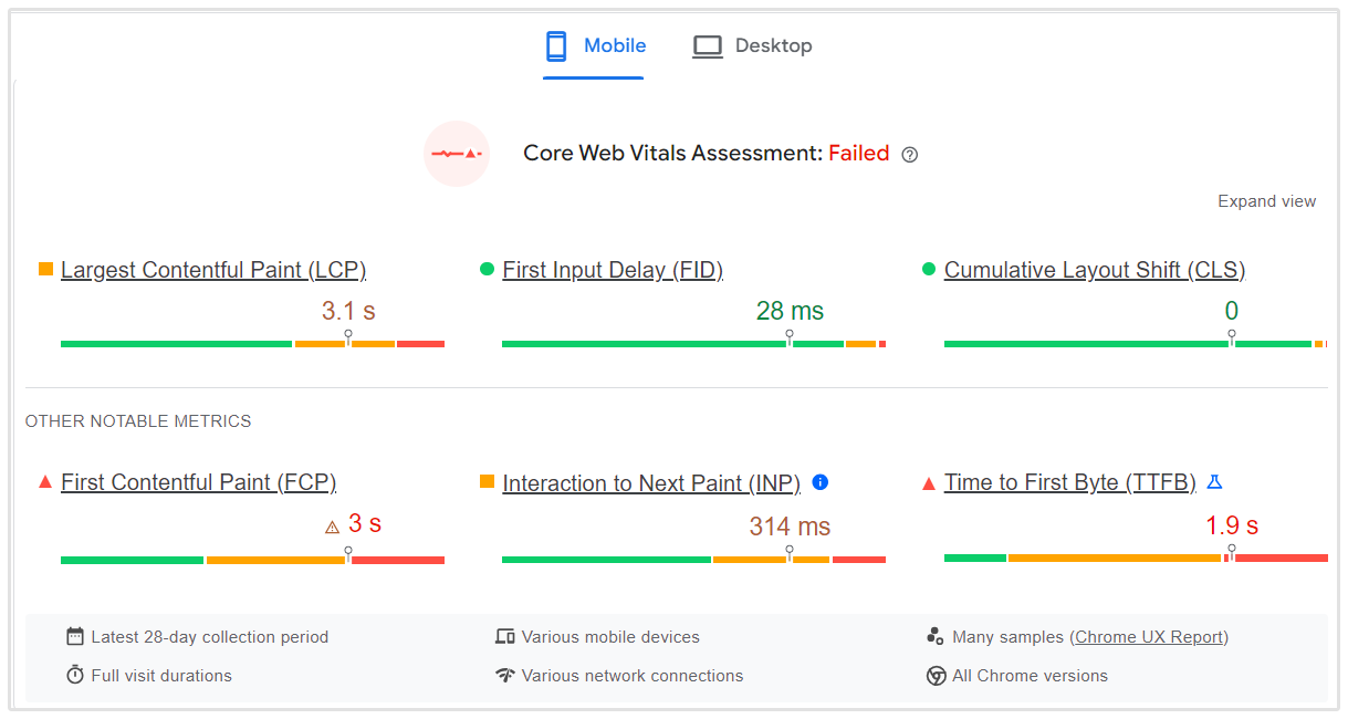 Beispiel für Google Page Speed Insights